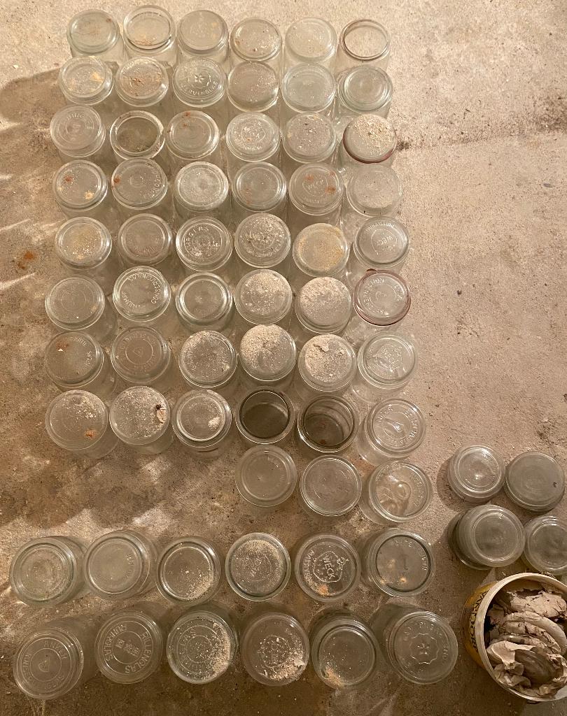Weckpotten 60+ stuks, Overige typen, Ophalen of Verzenden, Gebruikt, Glas