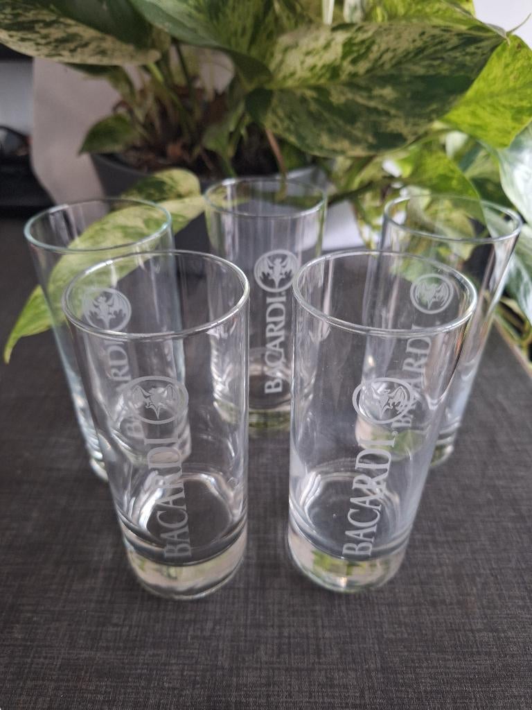 BACARDI long drink glazen, gegraveerde logo 5 stuks., Ophalen of Verzenden, Zo goed als nieuw, Borrel- of Shotglas