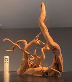 Uniek stuk Spiderwood / Driftwood / Kienhout, Hout Decoratie, Ophalen of Verzenden, Zo goed als nieuw, Plant(en), Steen of Hout