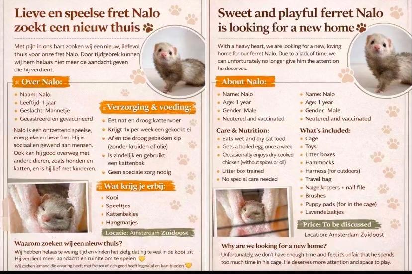 Fret, Dieren en Toebehoren, Overige Dieren, Mannelijk, Januari