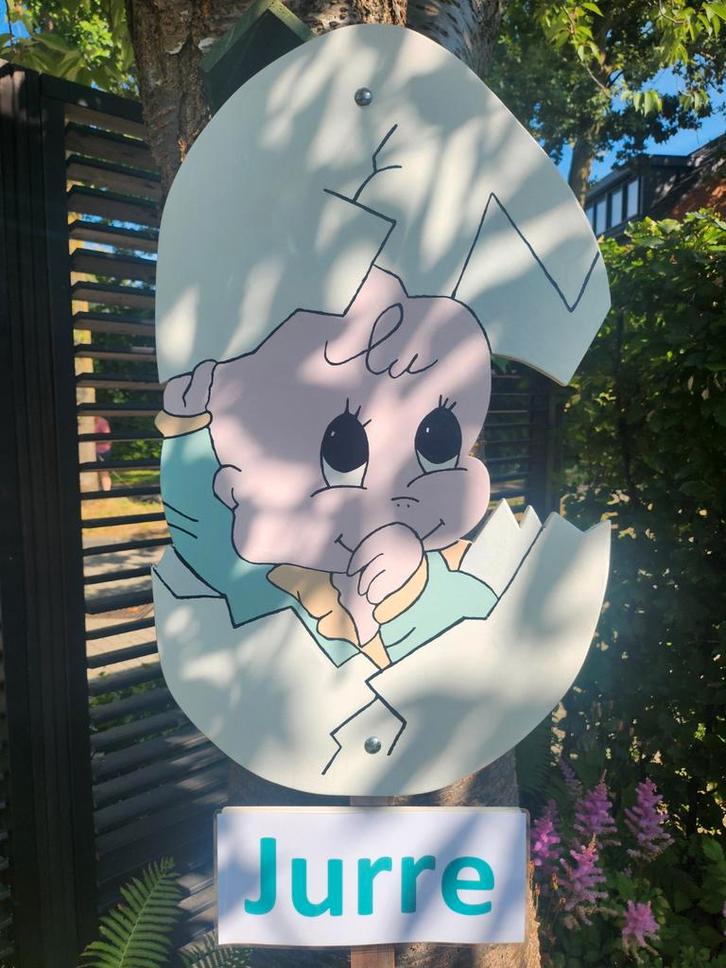 Baby uit ei of ander leuk geboortebord huren, Kinderen en Baby's, Kraamcadeaus en Geboorteborden, Nieuw, Ophalen