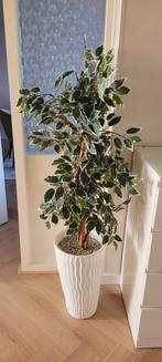 Kunstplant, Ophalen of Verzenden, Halfschaduw