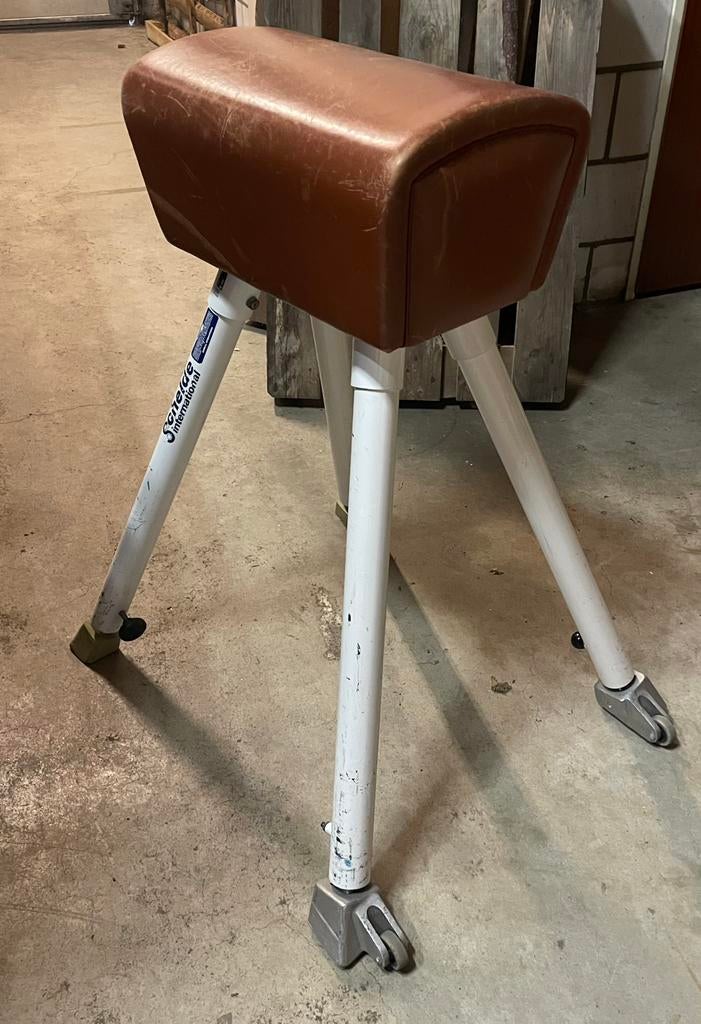 Turnbok, Sport en Fitness, Turnen, Ophalen, Gebruikt