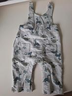 Leuk broekpakje met dino's, jongens, maat 56, Kinderen en Baby's, Babykleding | Maat 56, Nieuw, Ophalen of Verzenden, Hema, Pakje