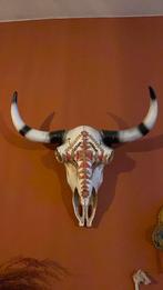 Nep schedel, Ophalen, Zo goed als nieuw