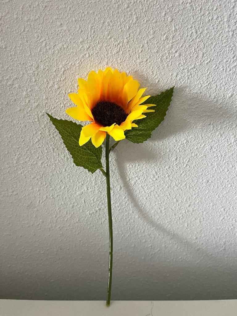 TUINPLANTEN / KUNSTPLANTEN., Tuin en Terras, Ophalen of Verzenden, Overige soorten, Halfschaduw