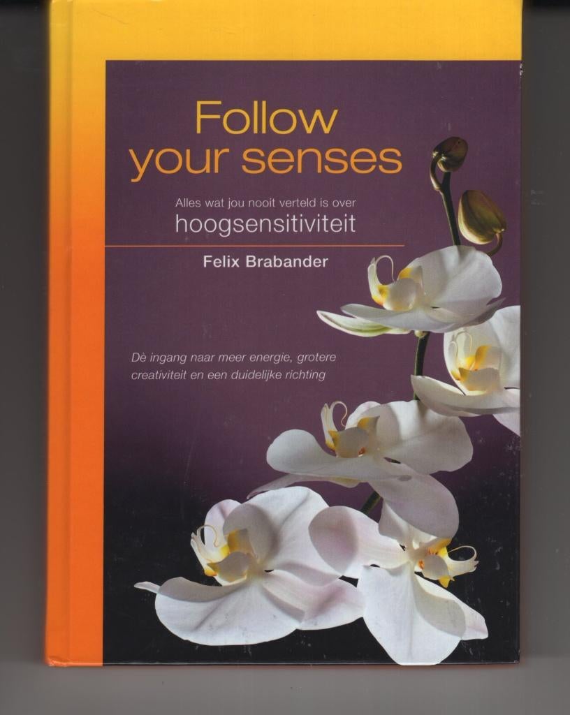 Follow your senses Felix Brabander Hoogsensitiviteit, Boeken, Ophalen of Verzenden, Zo goed als nieuw, Spiritualiteit algemeen