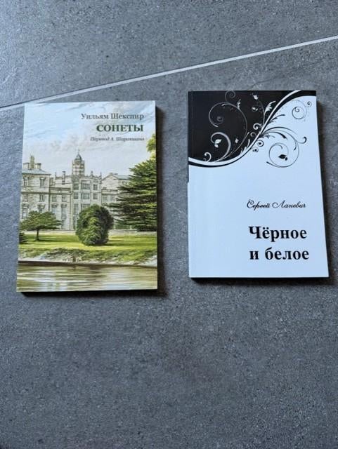 Russisch Poëzie Boeken, Boeken, Woordenboeken, Ophalen of Verzenden, Zo goed als nieuw, Overige uitgevers, Russisch