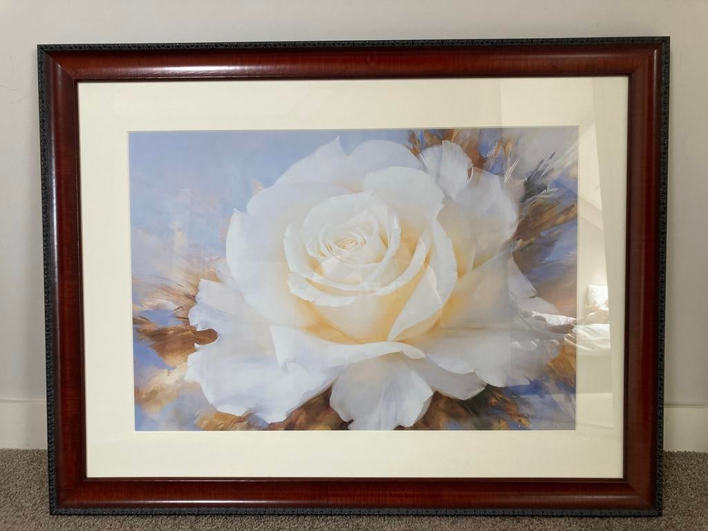 Ingelijste kunstprint: Witte Roos (Cook, 2001), Ophalen