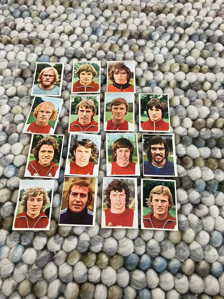 Ajax panini Vanderhout 1975-1976, Verzamelen, Ophalen of Verzenden, Gebruikt, Ajax, Poster, Plaatje of Sticker