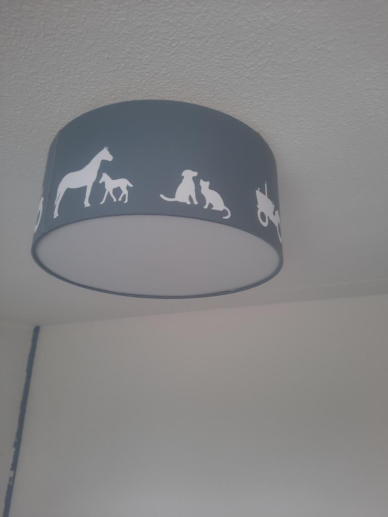 Leuke boerderij plafondlamp, Ophalen