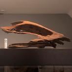 Uniek stuk Kienhout / Driftwood / Spiderwood, Hout Decoratie, Ophalen of Verzenden, Zo goed als nieuw, Plant(en), Steen of Hout