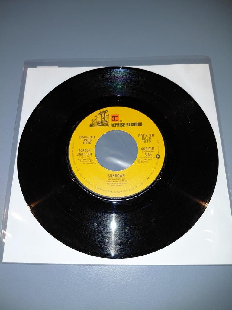 Gordon Lightfoot- sundown, Cd's en Dvd's, Vinyl Singles, Ophalen of Verzenden, Gebruikt, 7 inch, Pop
