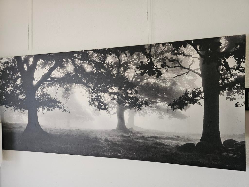 Mooie foto IKEA van bos in de mist, 57x25 cm, Huis en Inrichting, Woonaccessoires | Schilderijen, Tekeningen en Foto's, Ophalen
