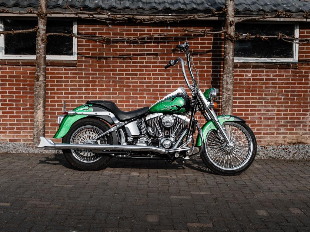 Harley-Davidson mexican 88 FLSTCI Custom build (bj 2004), Motoren, Motoren | Harley-Davidson, Blue Bull B.V., Bedrijf, Overig