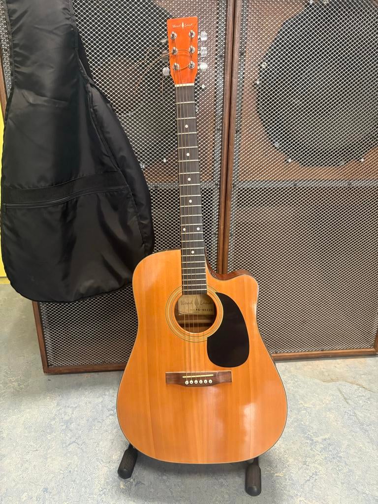 WOOD LAND WG Semi-akoestische gitaar + accessoires, Ophalen, Gebruikt, Overige typen