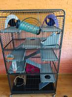 Knaagdieren kooi chinchilla, rat, degoe fret als nieuw, Dieren en Toebehoren, Kooi, Ophalen of Verzenden, Zo goed als nieuw, 90 cm of meer