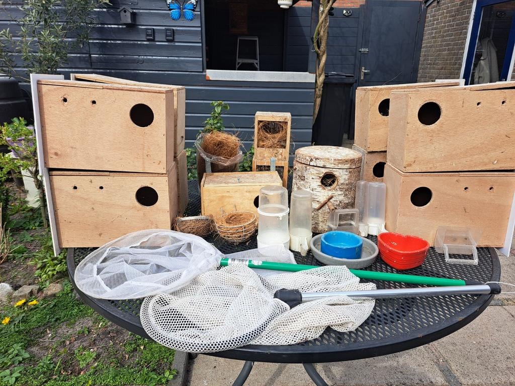 Broed hokken, Ophalen of Verzenden, Hout, Broedkooi of Kweekkooi