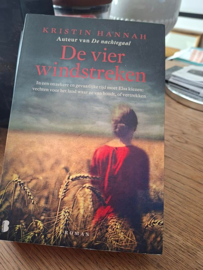 Kristin Hannah - De vier windstreken, Boeken, Verzenden, Zo goed als nieuw, Kristin Hannah, Amerika