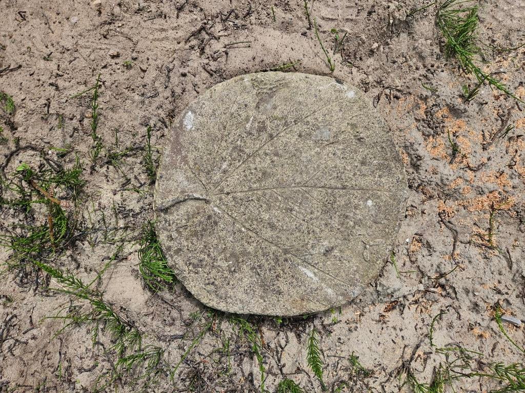 Stap tegel met blad nerf kleur beige zand maat 50 x 50 cm, Tuin en Terras, Ophalen