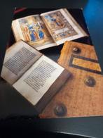 Kunstkaart  Bibliotheek Hospice de Beaune. Ongelopen, Verzenden, Ongelopen, Cultuur en Media