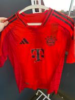 FC Bayern München Adidas, Maat 48/50 (M), Ophalen of Verzenden, Zo goed als nieuw, Voetbal