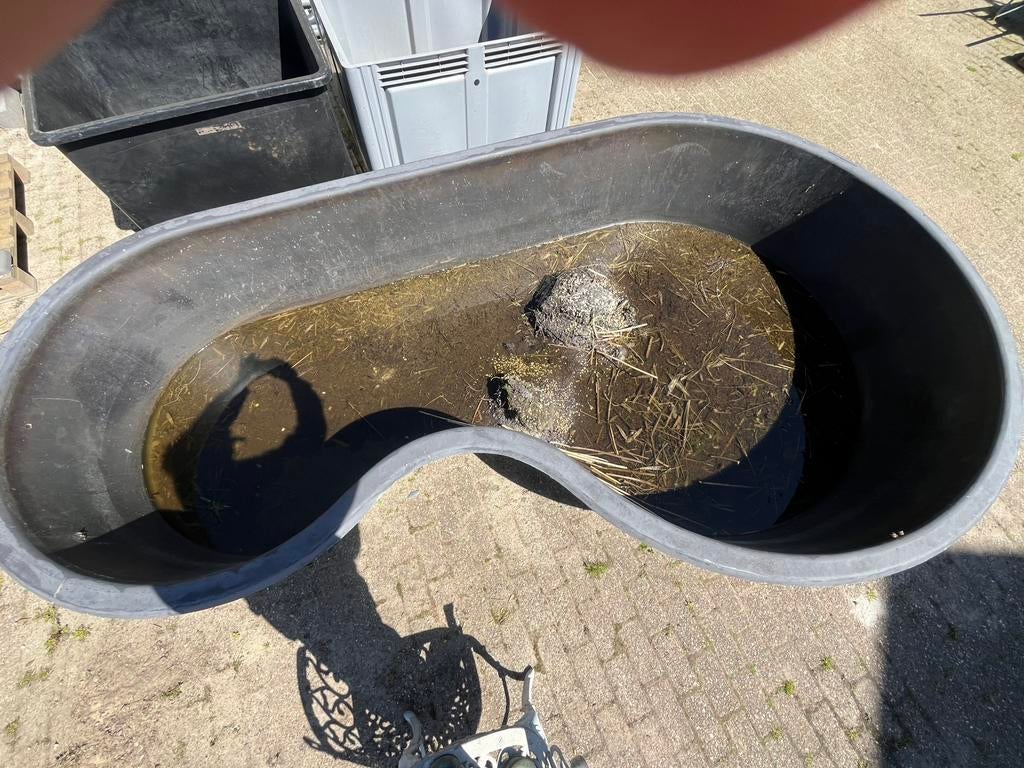 Voorgevormde vijver polyester., Ophalen, Gebruikt, Vijverbak