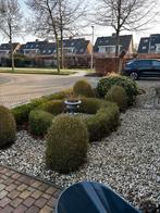 Witte kiezels/grind voor tuin of oprit (5-10m2), Tuin en Terras, Grind, Keien en Split, Ophalen, Gebruikt, Wit, Grind