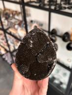 Prachtig donker septarie ei!, Ophalen of Verzenden