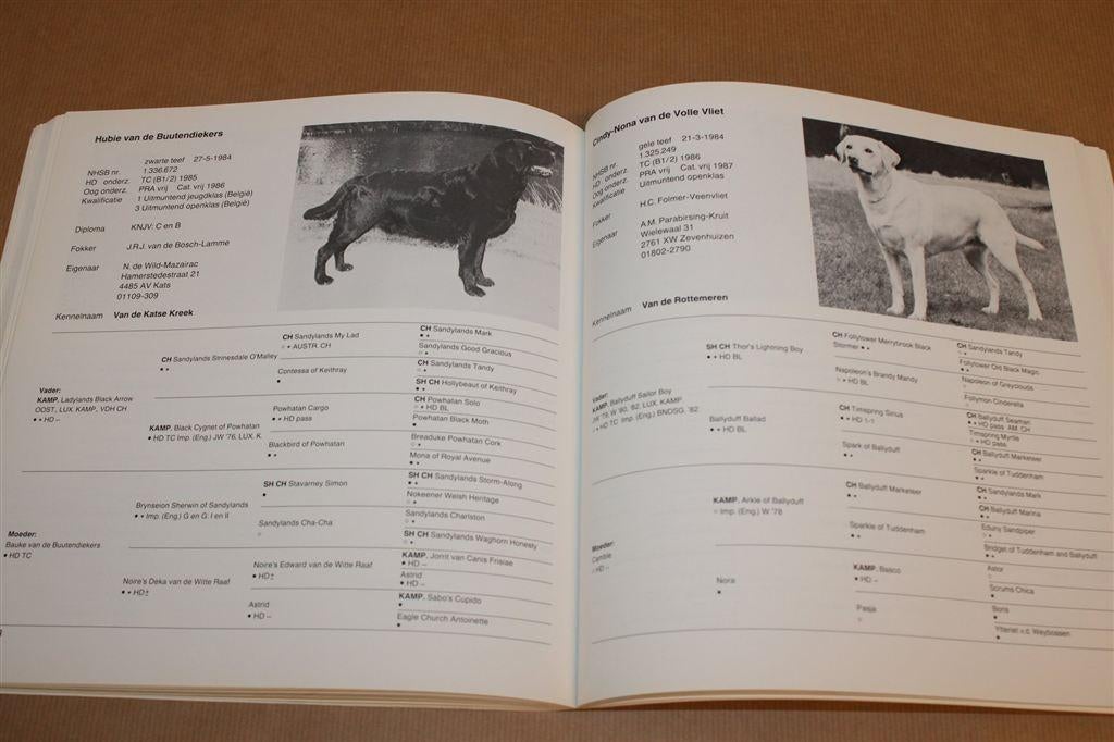 25 Jaar Labradors in NL — Uitgave Rasvereniging [1989], Ophalen of Verzenden, Gelezen, Honden