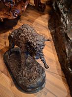 Buffel, Ophalen of Verzenden