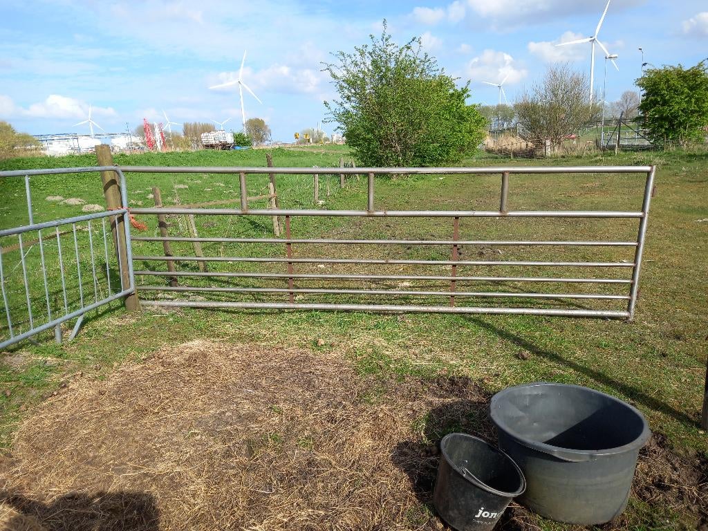 3 landhekken 4 meter per stuk