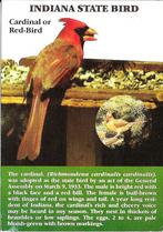 Ansichtkaart	Indiana, USA	Cardinal	State Bird, Verzenden, 1980 tot heden, Gelopen, Buiten Europa