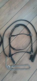 Voorbreng Hoofdstel Full, Dieren en Toebehoren, Ophalen, Nieuw, Overige soorten