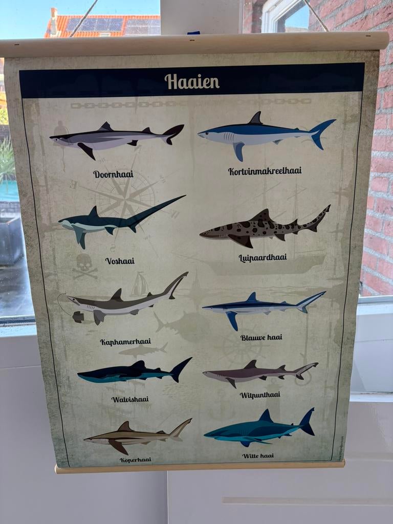 Kunststof poster, Ophalen, Natuur en Biologie