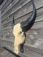 Waterbuffel schedel, Ophalen of Verzenden