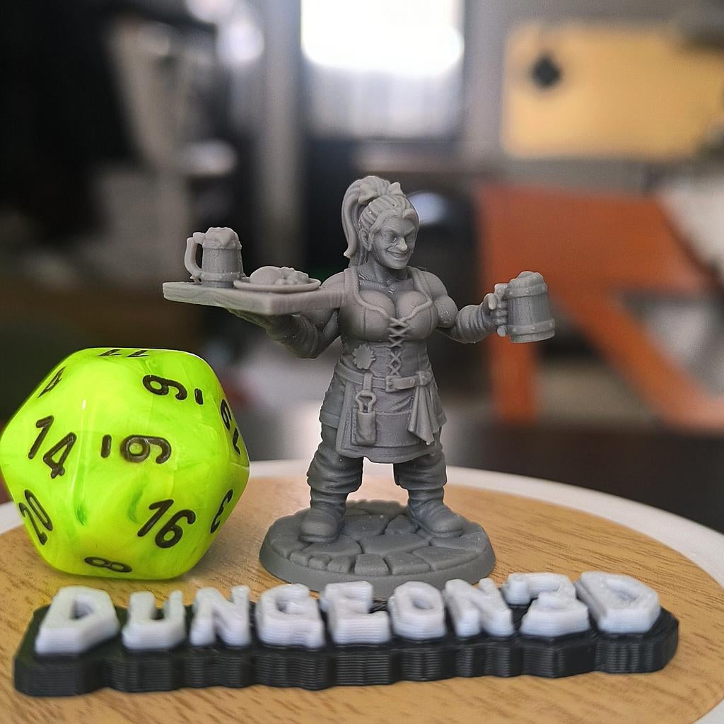 Dungeons & Dragons, D&D, HQ Dwarf waitress tavern, Ophalen of Verzenden