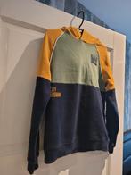 Trui hoody, Ophalen of Verzenden, Zo goed als nieuw, Jongen, Trui of Vest