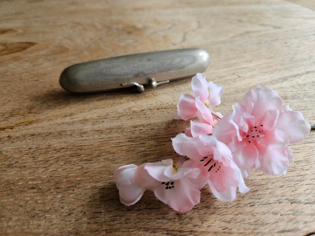 Antieke Verzilverde Sigarenkoker - Guilloche - ca. 1910, Ophalen of Verzenden