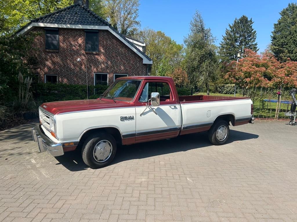 Dodge d150 bj 1986, Auto's, Automaat, Achterwielaandrijving, Overige kleuren, Bedrijf