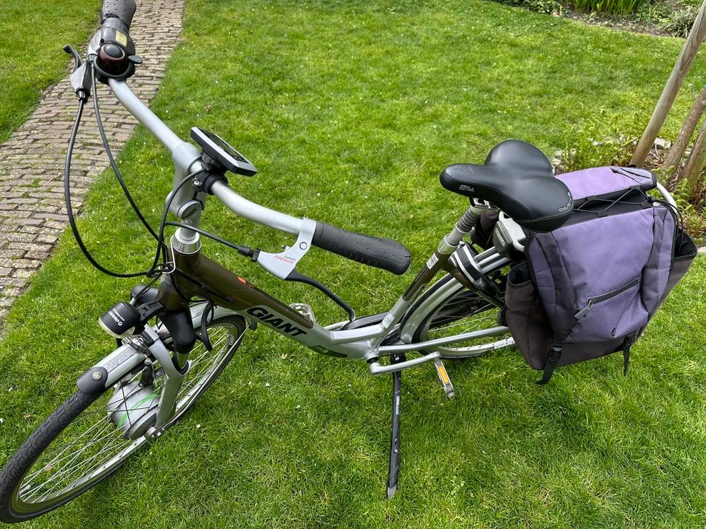 Giant twist go double elektrische fiets, Ophalen, Zo goed als nieuw, Giant
