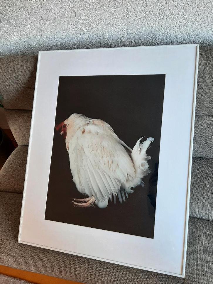 Originele grote foto Yoshio Hata in de serie Hanako, 1985, Antiek en Kunst, Kunst | Tekeningen en Foto's, Ophalen