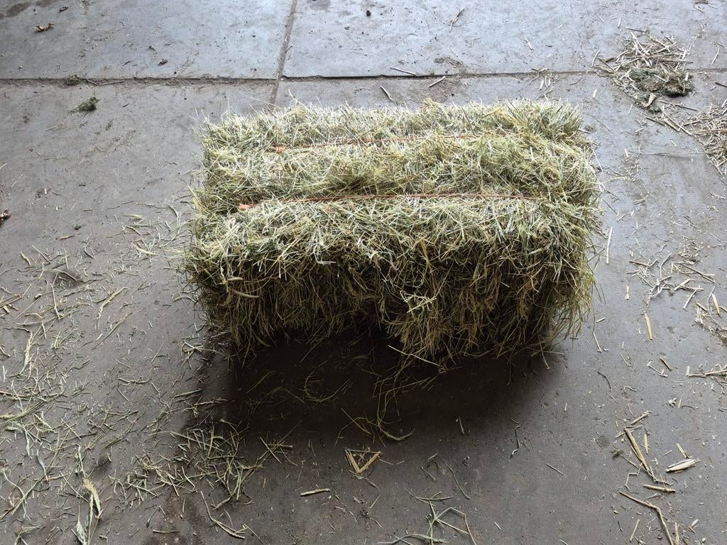 Hooibalen, Dieren en Toebehoren, Ophalen of Verzenden, Vee