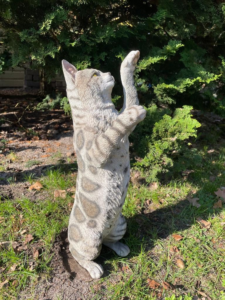 Poes, kat, Grijs, tuin, gazon, kitten, boerderij 50cm, Ophalen of Verzenden, Nieuw, Kunststof, Dierenbeeld