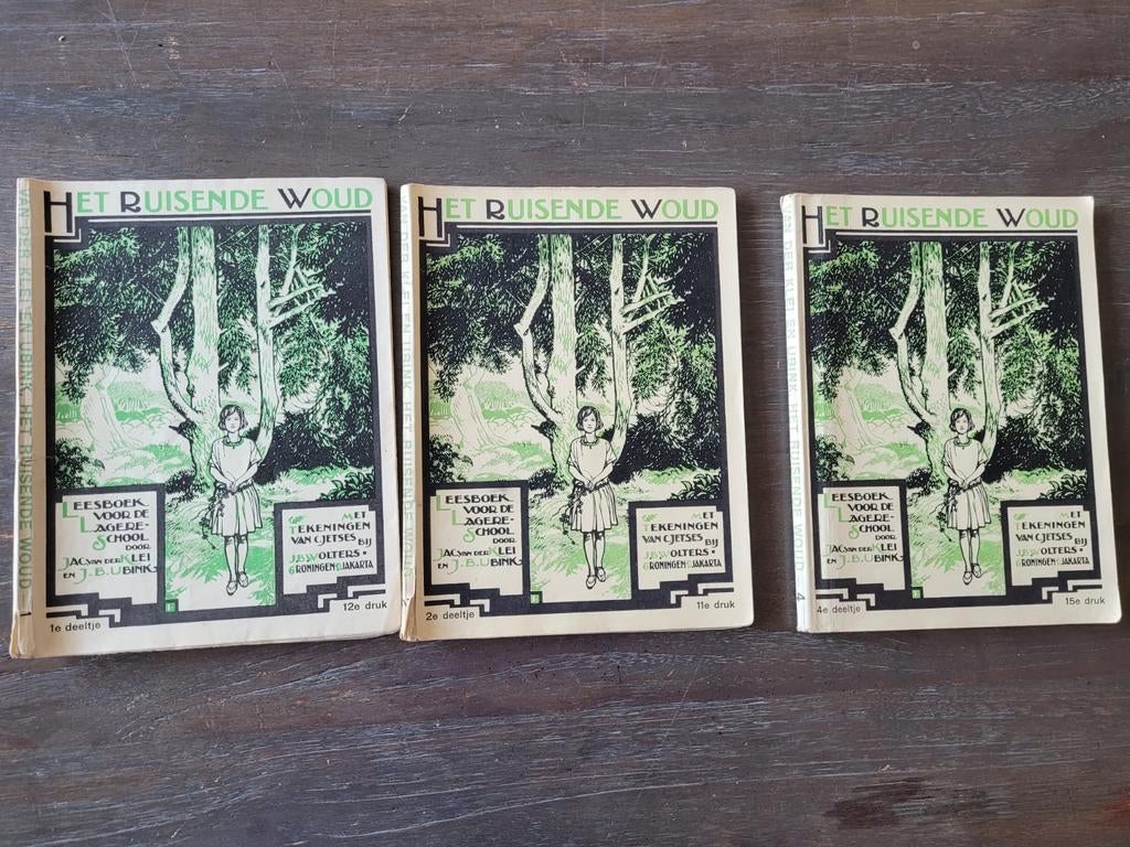 Het Ruisende Woud, Boeken, Studieboeken en Cursussen, Gelezen, LBO, Ophalen of Verzenden