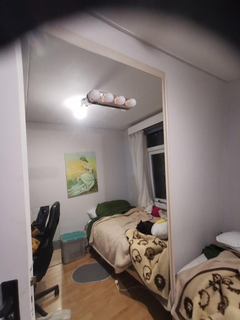 Gratis grote spiegel 90x200 cm, Huis en Inrichting, Woonaccessoires | Spiegels, Gebruikt, Ophalen of Verzenden, 75 tot 100 cm