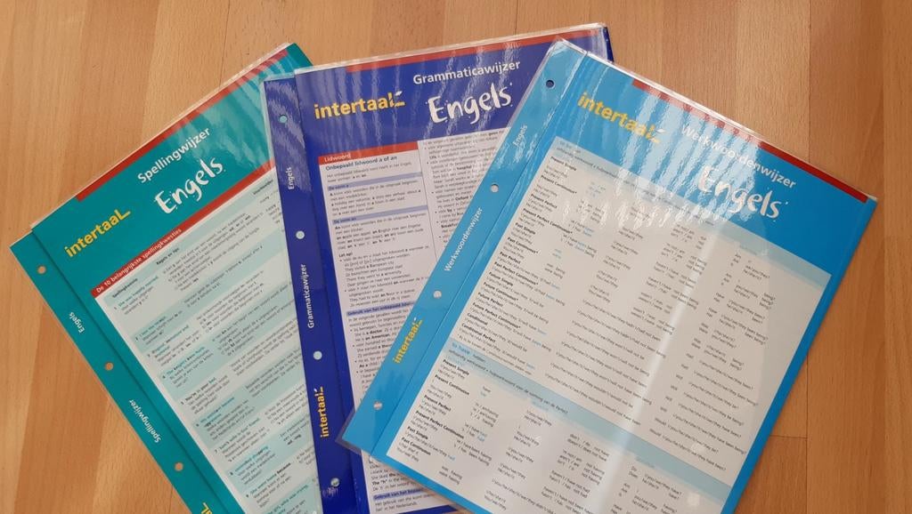 Intertaal Engelse taalwijzers 3 stuks. ZGAN!, Ophalen of Verzenden, Zo goed als nieuw, Intertaal, Non-fictie