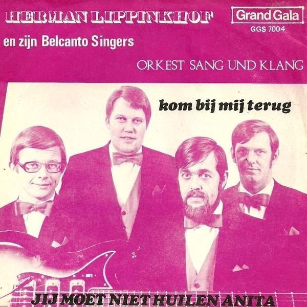 Vinylsingles herman lippinkhof gezocht, Cd's en Dvd's, Vinyl | Nederlandstalig, Zo goed als nieuw, Ophalen of Verzenden