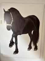 Muursticker paard op houten plaat, Ophalen, Gebruikt, Wanddecoratie