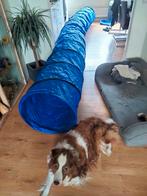 Agility tunnel, Dieren en Toebehoren, Ophalen, Behendigheidspeelgoed